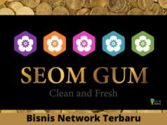Seom Gum Bisnis Network Marketing Terbaru bisnis seom gum