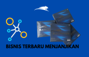 Marketing Plan Black Panther Nusantara marketing plan black panther