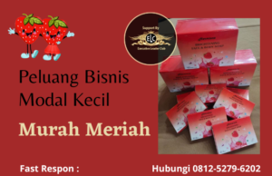 Hermione Bisnis MLM Terbaru Modal Murah bisnis hermione