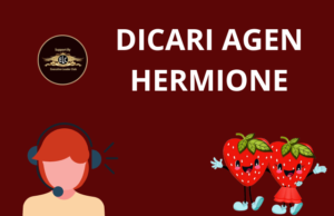 Dicari Agen Hermione Seluruh Indonesia agen hermione