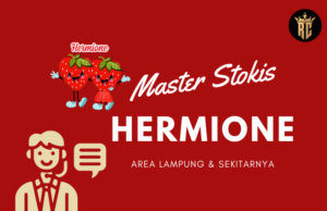 Kontak Stokis Hermione Lampung Terdekat stokis hermione lampung