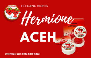 Inilah Kontak Leader Hermione Aceh Berpengalaman hermione aceh