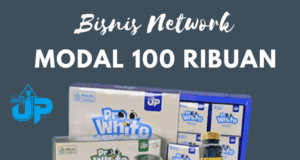 Bisnis MLM Modal 100 Ribuan Terbaru Launching April 2025 bisnis mlm modal 100 ribuan